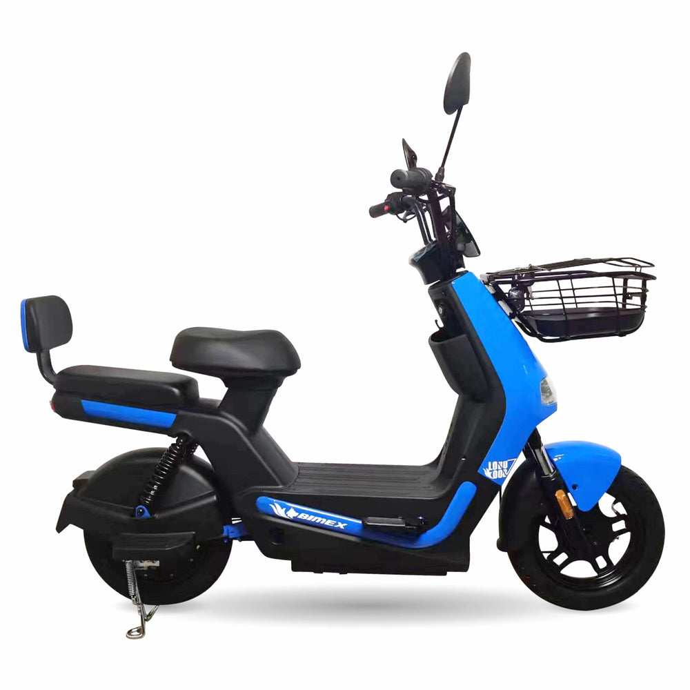 E14LOBO008 (Bicicleta Eléctrica)