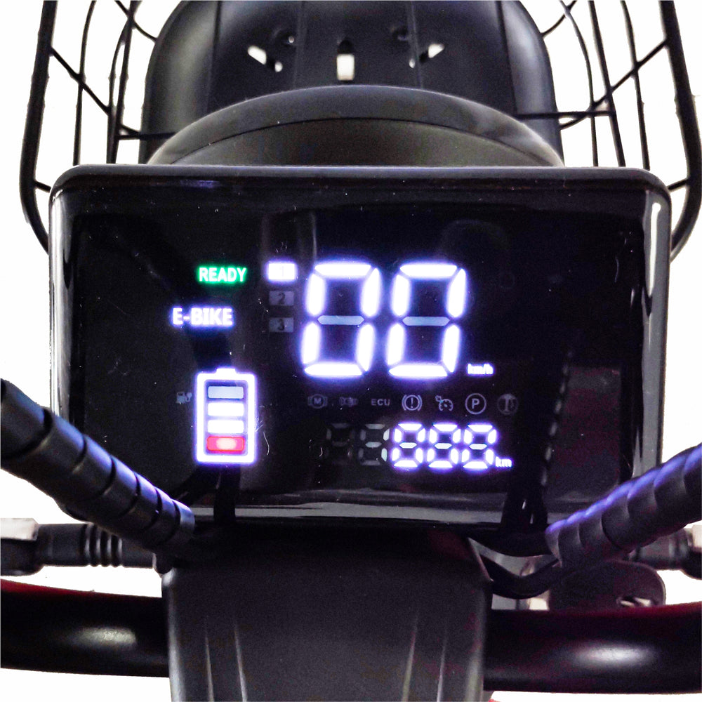 E700V01C (Bicicleta Eléctrica)