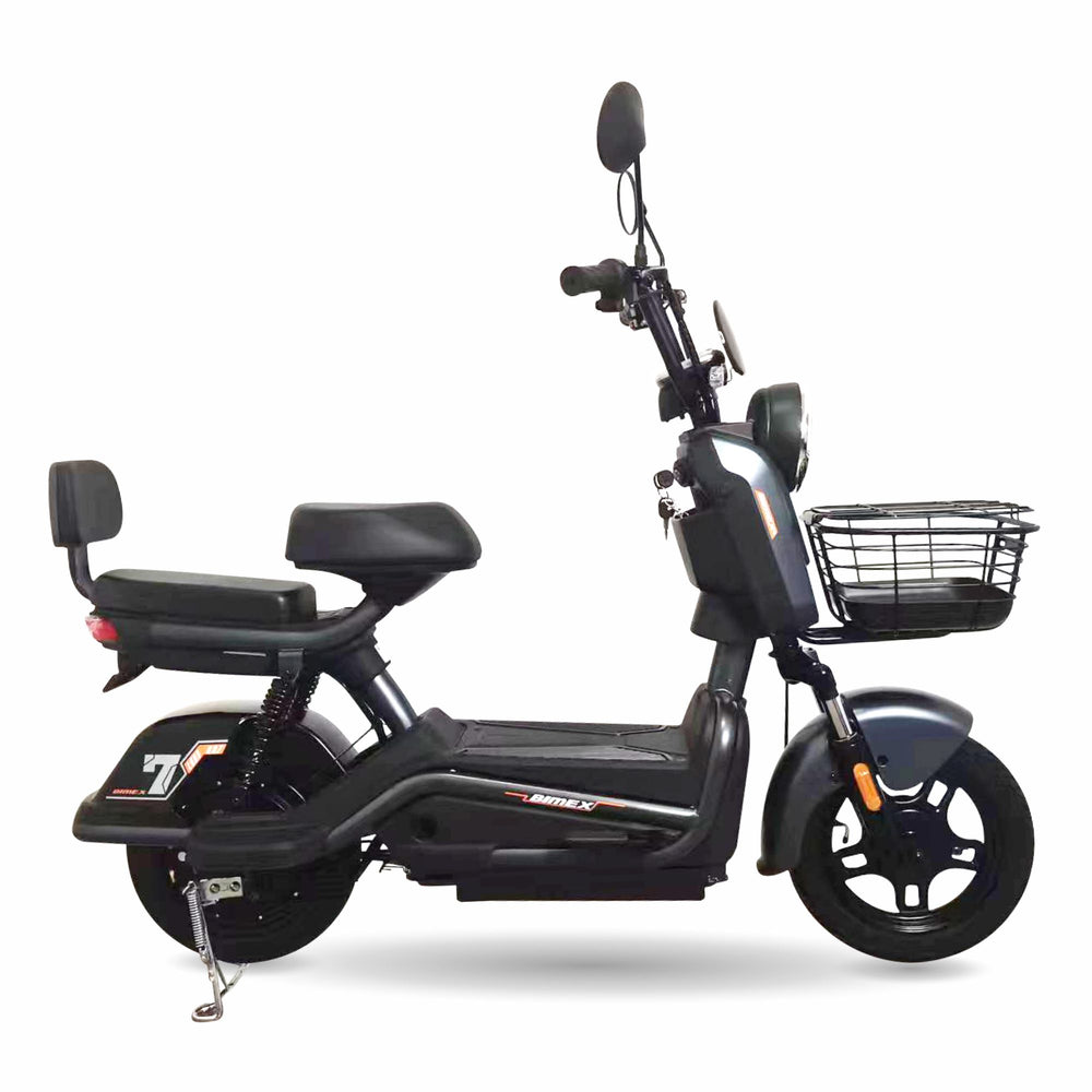 E14LOBO007 (Bicicleta Eléctrica)